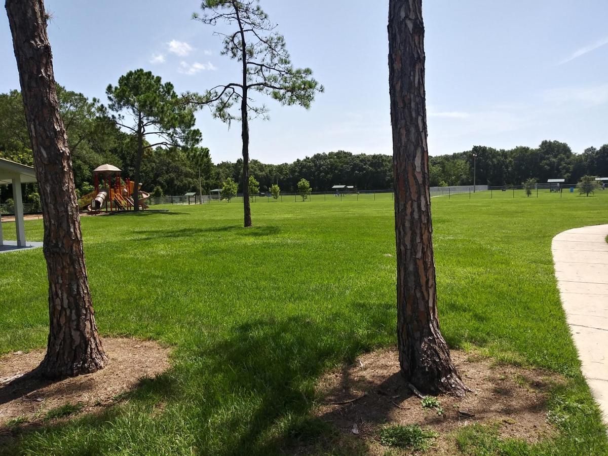 شقة Tampa Citrus Park المظهر الخارجي الصورة